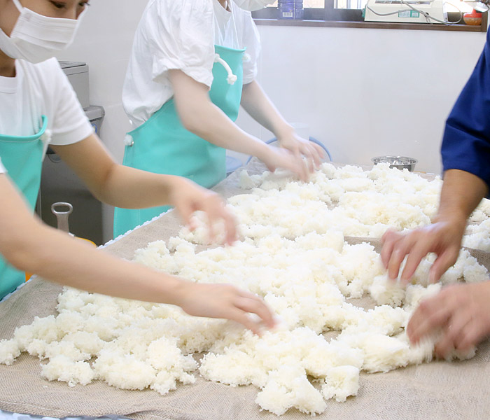 お酒造り体験/蒸し上がった米の放冷開始