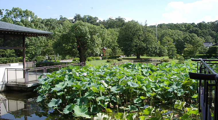 宇佐神宮菱形池（弥勒寺時代の蓮池）