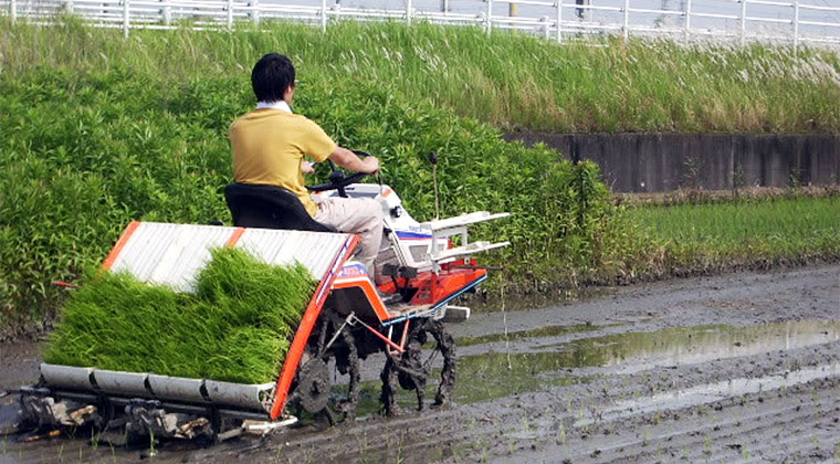 快調に進む田植機