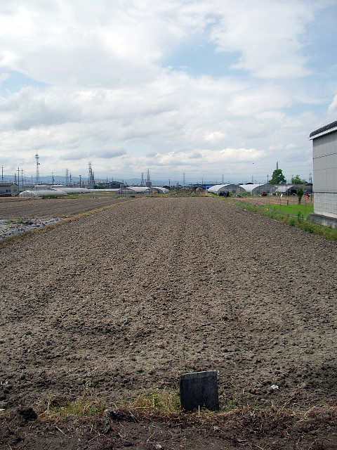 耕され、田植えを待つ水田