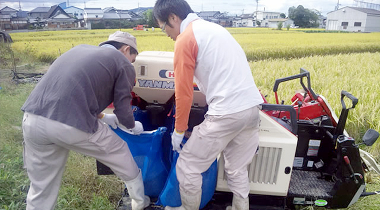 脱穀した米が入る袋を取り出す