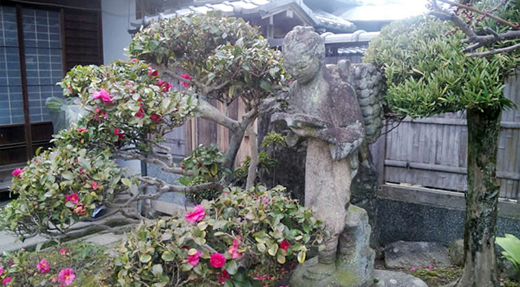 寒さに耐えて咲く椿と二宮金次郎像（中谷家）