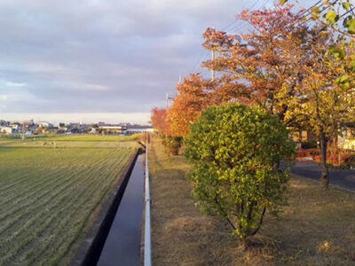 大和路の紅葉（番条町から北を望む）