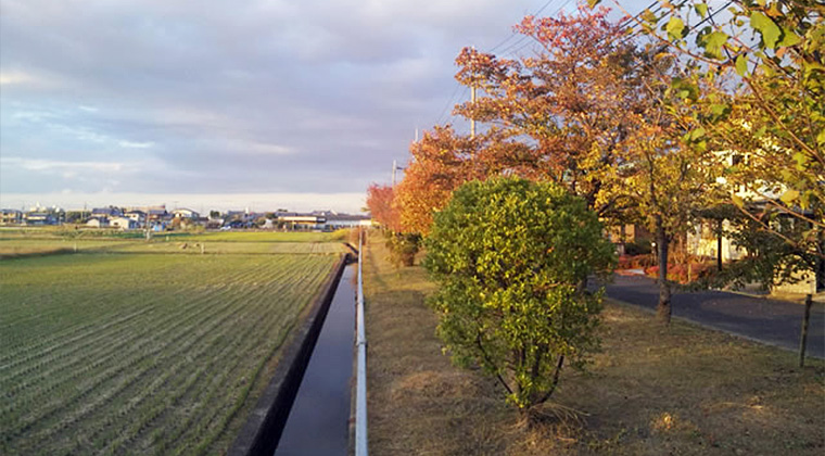 大和路の紅葉（番条町から北を望む）