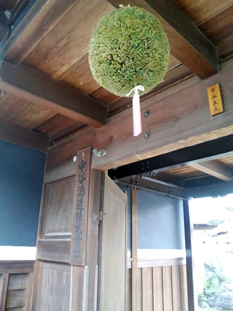 新しく掛け替えられた中谷酒造の杉玉
