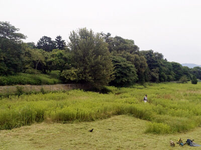 誉田山古墳西側面