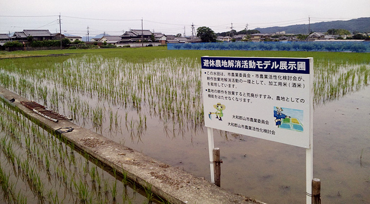 大和郡山市農業委員会管理田（6月27日）