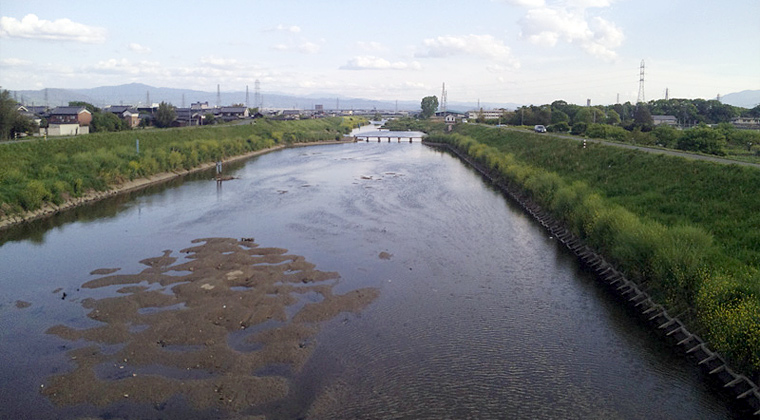 佐保川（大和郡山市番条町より下流を望む）