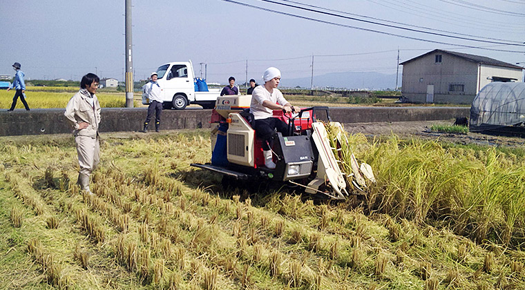 交代でコンバインを運転