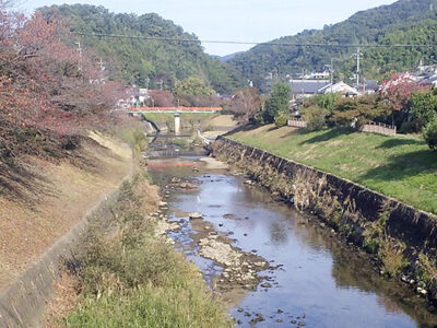 紅葉が進む竜田川