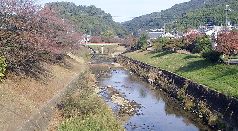 紅葉が進む竜田川