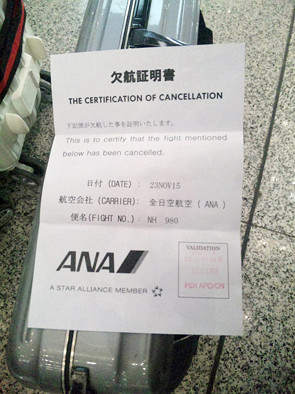 欠航証明書