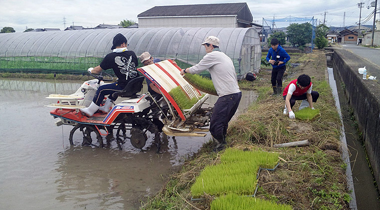 田植えの苗補充