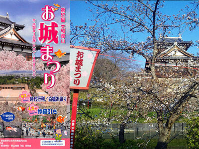 お城祀りパンフレット表紙・郡山城址の桜（4月4日撮影）