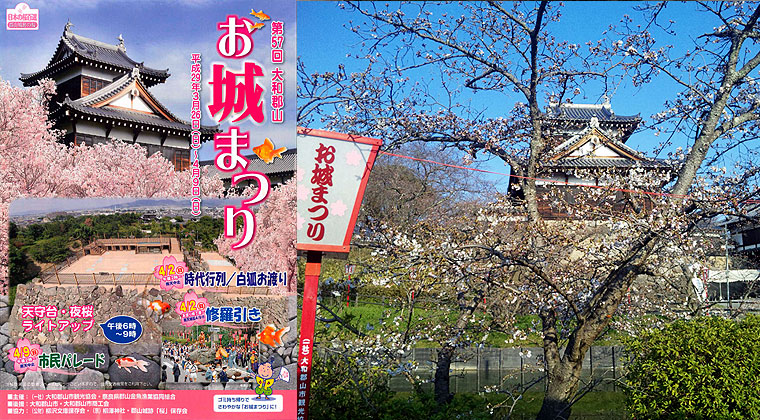 お城祀りパンフレット表紙・郡山城址の桜（4月4日撮影）