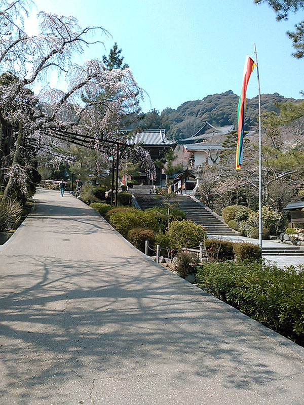 長谷寺参道から仁王門、本堂を見上げる