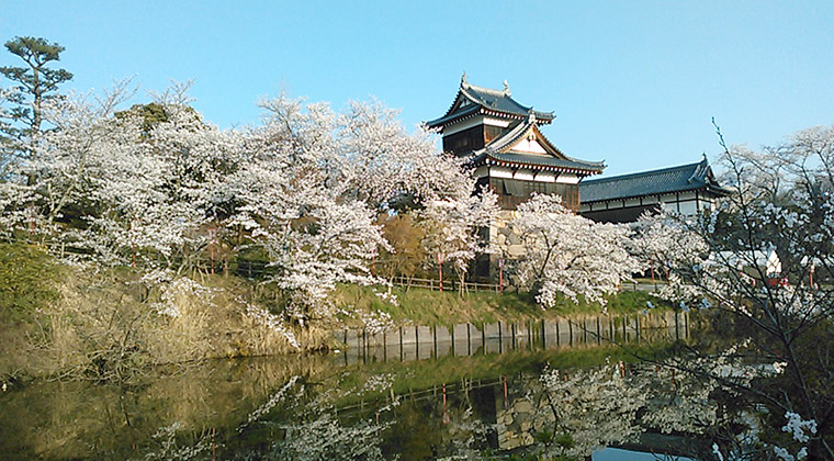 郡山城の濠に映る桜