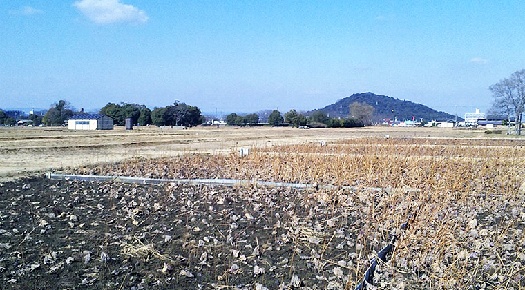 藤原京内裏より北に耳成山を望む